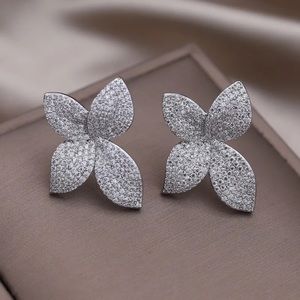 Silver color  brand new earrings